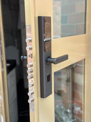 Cerradura Biométrica