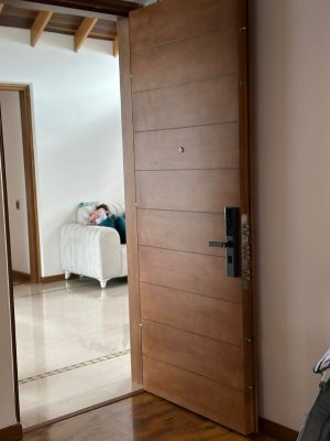 Puertade Seguridaad Con cerradura Biométrica